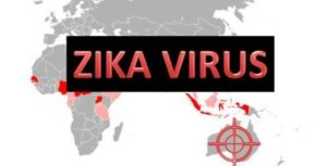 zika vírus